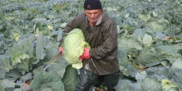 tursularin-basrol-oyuncusu-lahananin-hasadina-devam-ediliyor-rxpPvxWz.jpg