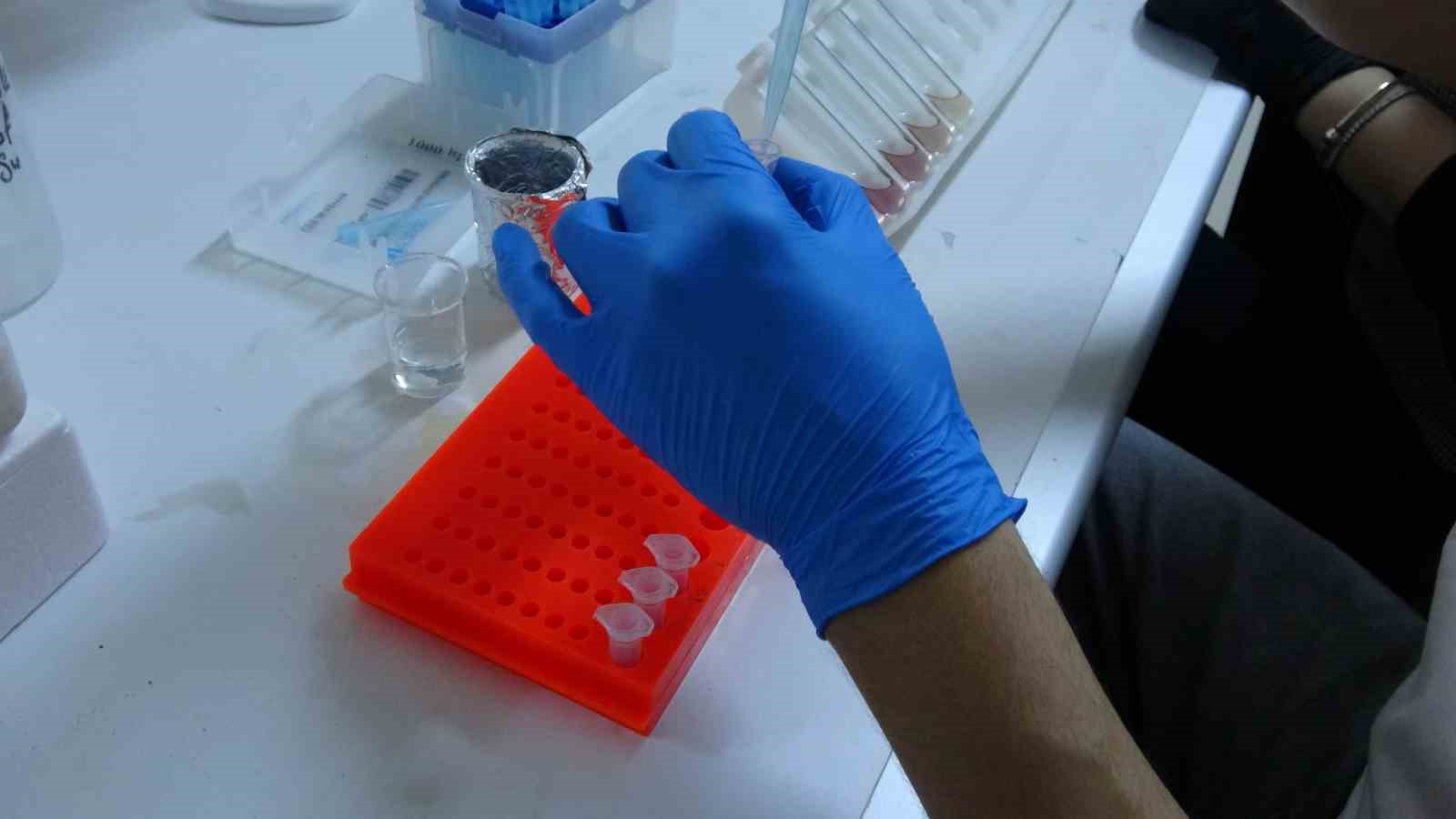 Tuz Gölü’nün dayanıklı bitkileri çorak toprakları yeniden canlandırmak için inceleniyor 6 tuz golunun dayanikli bitkileri corak topraklari yeniden canlandirmak icin inceleniyor 2 9QBTEn69