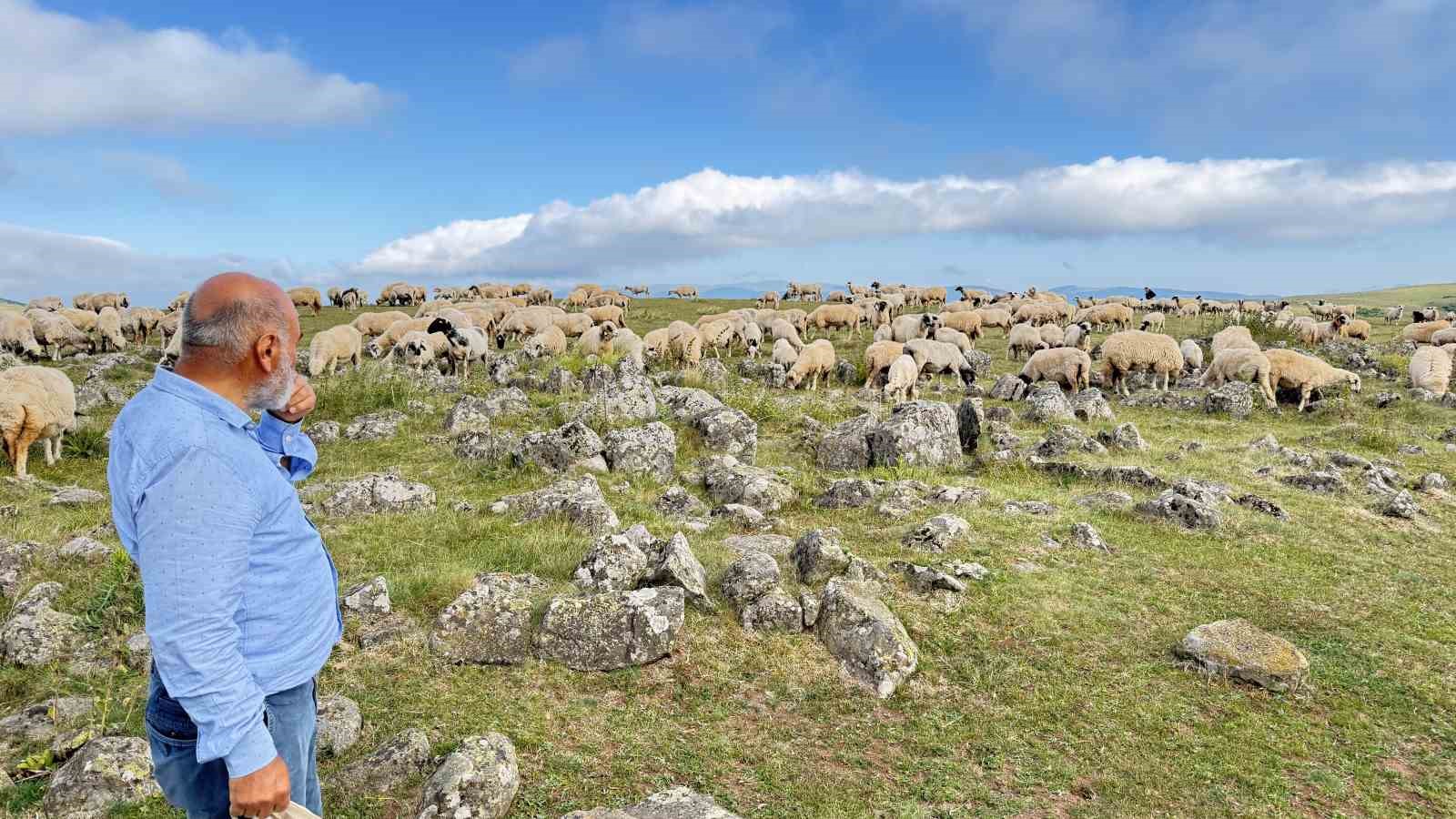 tuz tasi olarak kecilere yalatilan kayalarin turk beyliklerinin savas alanindaki mezar taslari oldugu anlasildi eVA3pFmM