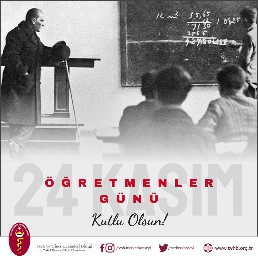 TVHB Başkanı Eroğlu: "24 Kasım Öğretmenler Günü’nü en içten dileklerimizle kutluyoruz" 4 tvhb baskani eroglu 24 kasim ogretmenler gununu en icten dileklerimizle kutluyoruz 0