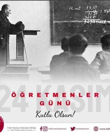 tvhb-baskani-eroglu-24-kasim-ogretmenler-gununu-en-icten-dileklerimizle-kutluyoruz-jjCfIaxK.jpg