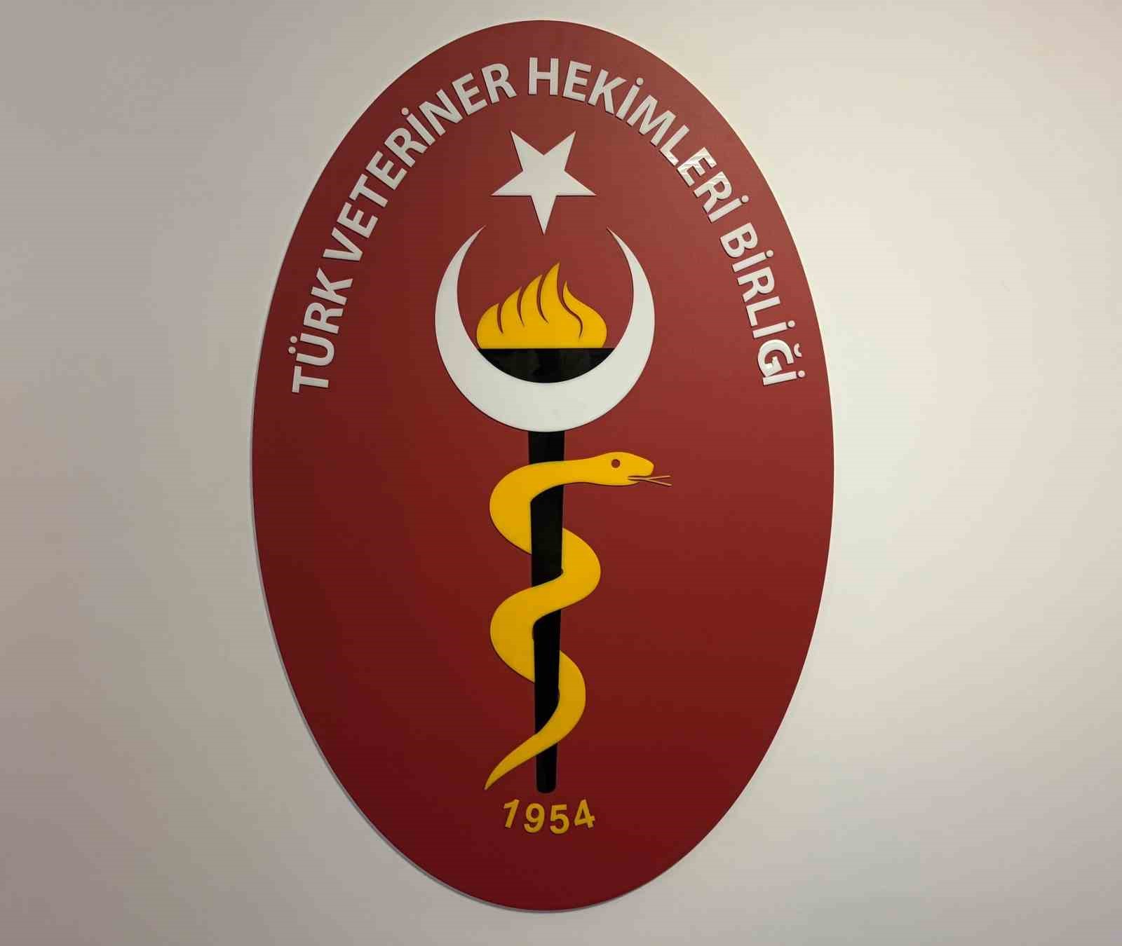 TVHB Başkanı Eroğlu: "Tüberküloz, dünyanın en eski bulaşıcı kronik hastalıklarından bir tanesi" 5 tvhb baskani eroglu tuberkuloz dunyanin en eski bulasici kronik hastaliklarindan bir tanesi 1 KOb93M7W