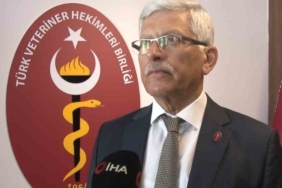 Uzmanlardan ’Dış kulak yolu enfeksiyonu’ uyarısı: "Başvuruları 2-3 kat artırdığını görüyoruz" 1 thumbnail