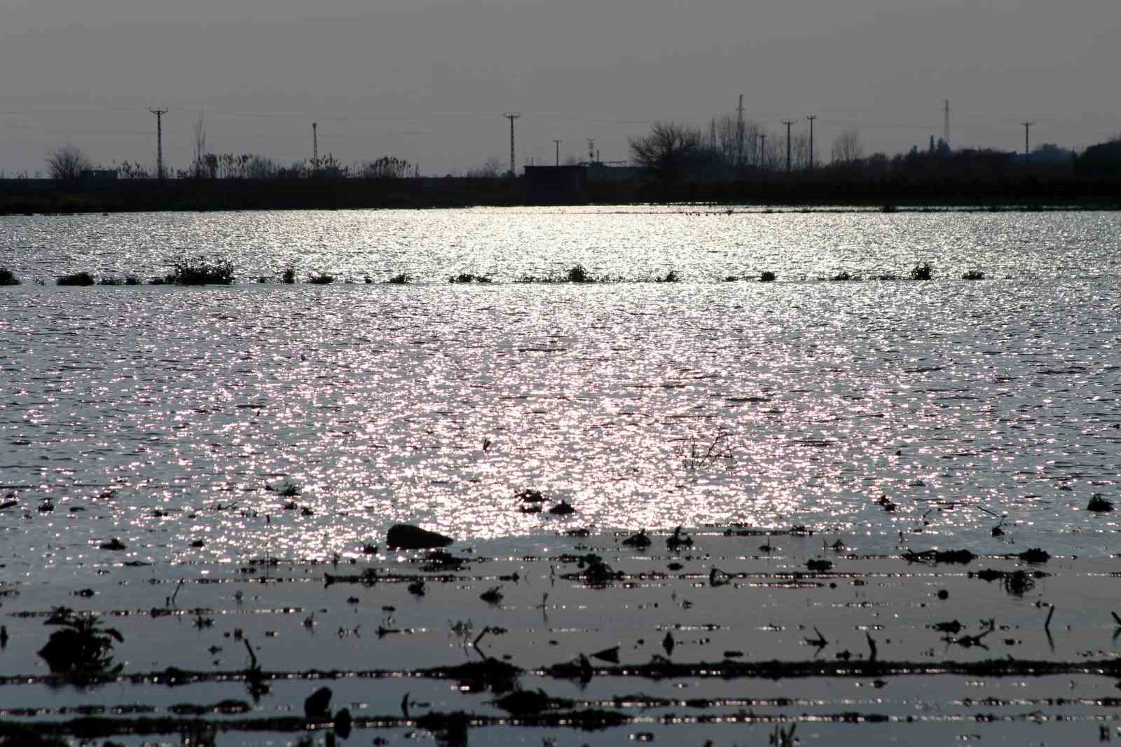 tzob genel baskani bayraktar ureticilerimize muhakkak nakdi yardim yapilmasi gerekiyor 2 gl9OZX6g