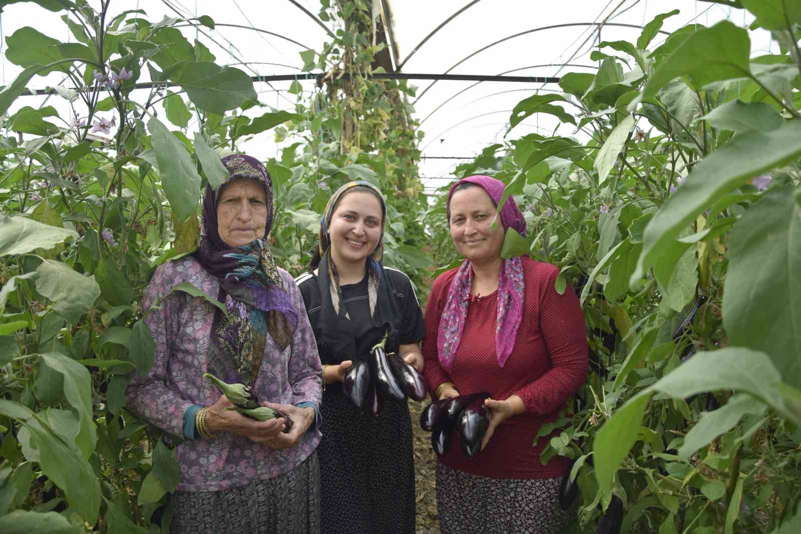 uc kusak kadin serada nineden toruna hem uretime hem aile ekonomisine katki sagliyorlar 0