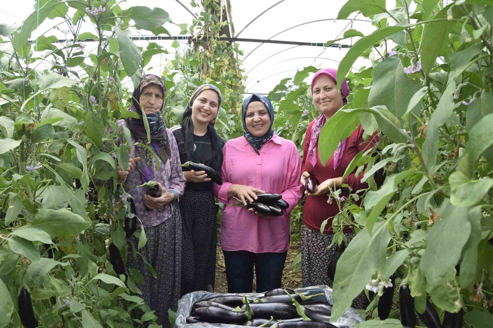 uc kusak kadin serada nineden toruna hem uretime hem aile ekonomisine katki sagliyorlar 1 WAYUXbNF
