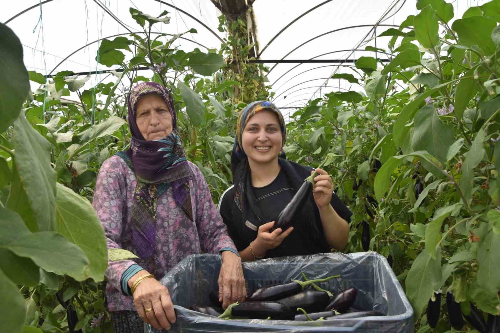 uc kusak kadin serada nineden toruna hem uretime hem aile ekonomisine katki sagliyorlar 2 4WKzAFtT