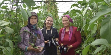 uc-kusak-kadin-serada-nineden-toruna-hem-uretime-hem-aile-ekonomisine-katki-sagliyorlar-juqm8J3p.jpg