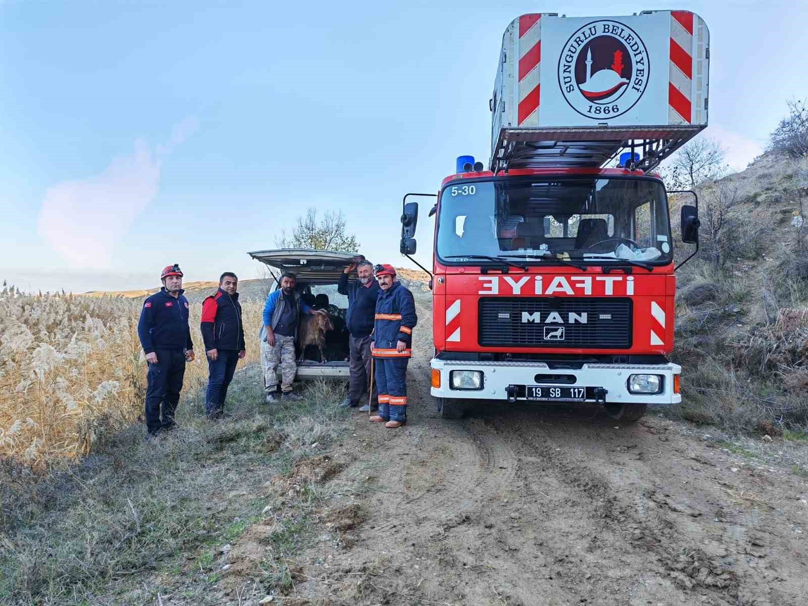 ucurumda mahsur kalan kecileri itfaiye kurtardi 2 UupZnIqY