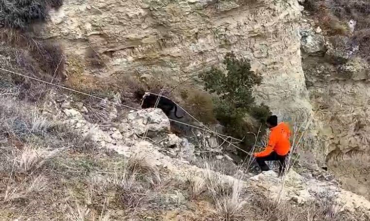 ucurumda mahsur kalan kopeklerini halatla inerek kendi imkanlariyla kurtardilar 1 SK8W7pyA