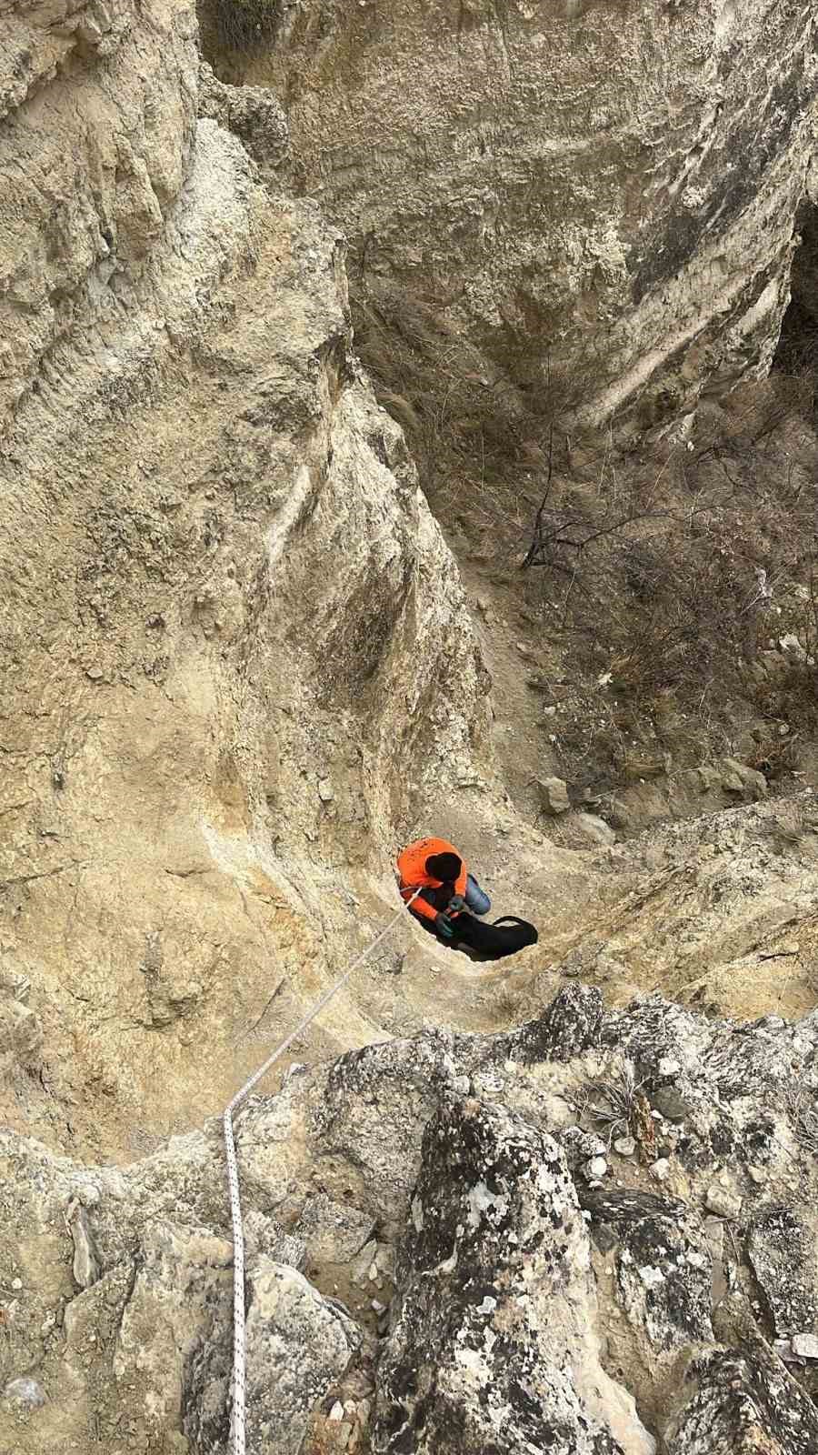 ucurumda mahsur kalan kopeklerini halatla inerek kendi imkanlariyla kurtardilar 3