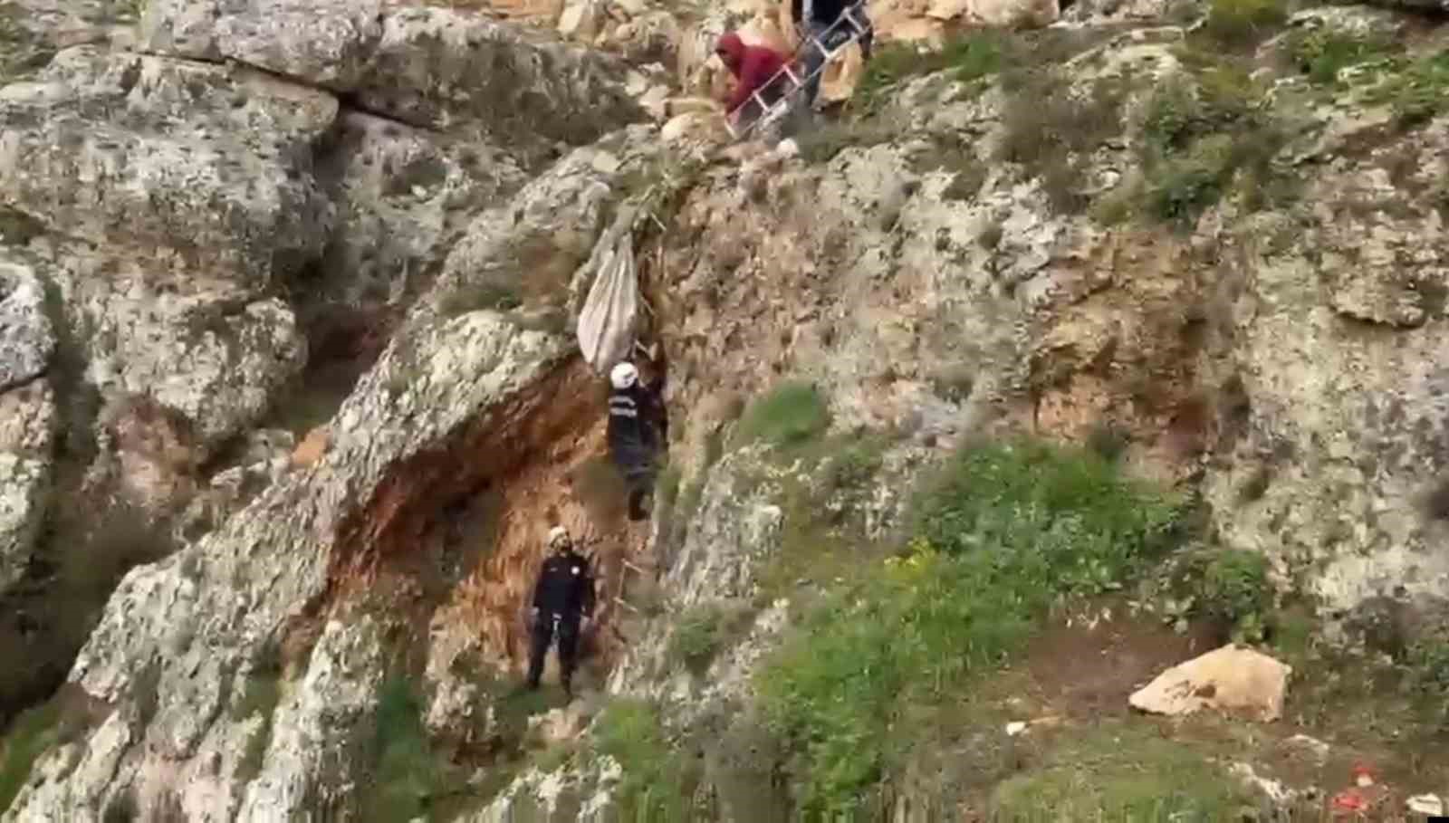 ucurumdan dusen kopek 4 saatlik calismayla kurtarildi 0