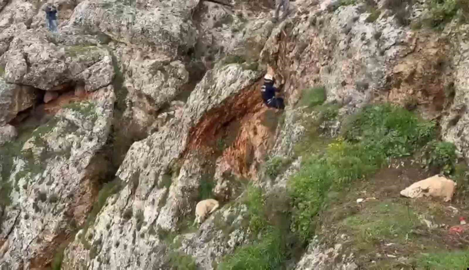 ucurumdan dusen kopek 4 saatlik calismayla kurtarildi 1 UwlWTLw7