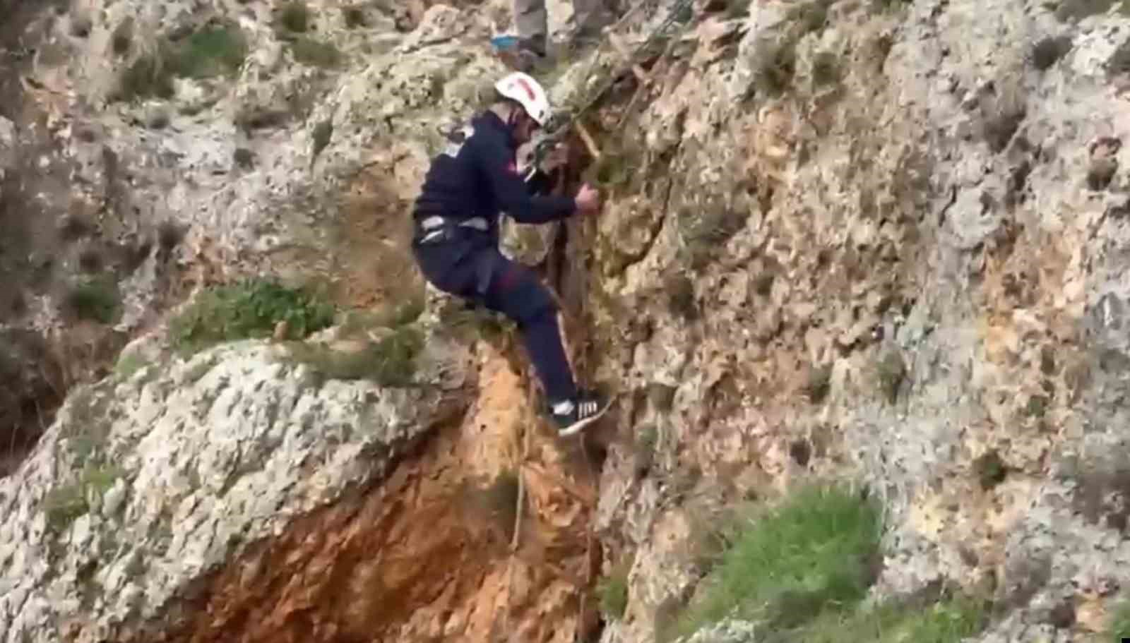 ucurumdan dusen kopek 4 saatlik calismayla kurtarildi 3