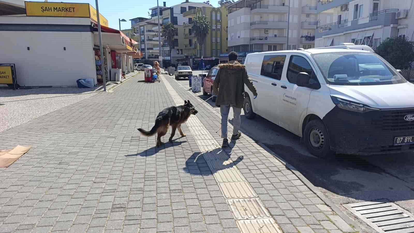 Ukraynalı kadın hayatının şokunu yaşadı, kurt köpeğiyle dalaşan kucağındaki köpeği parmağını parçaladı 7 ukraynali kadin hayatinin sokunu yasadi kurt kopegiyle dalasan kucagindaki kopegi parmagini parcaladi 3 9Ch2B4yA