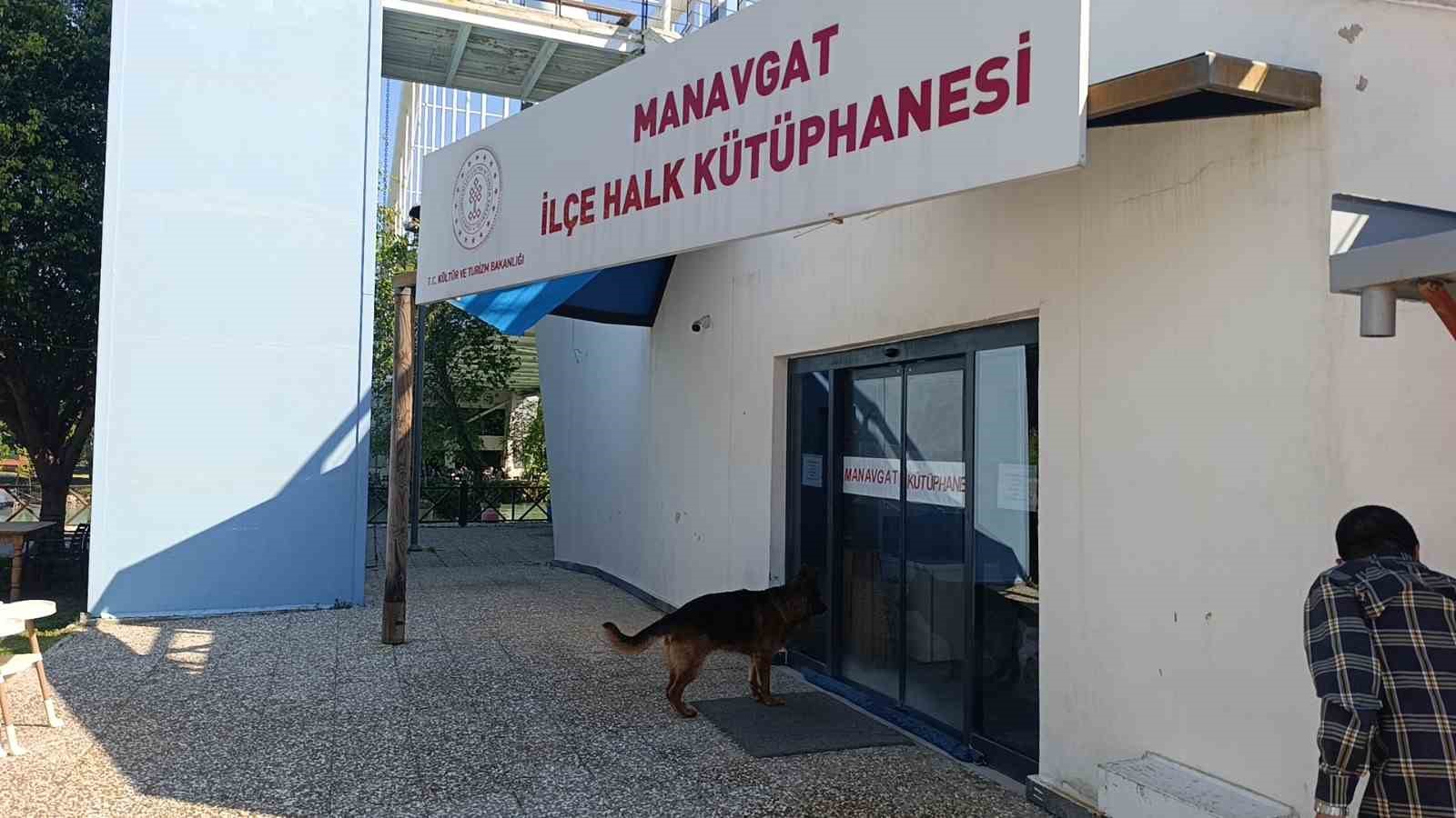 Ukraynalı kadın hayatının şokunu yaşadı, kurt köpeğiyle dalaşan kucağındaki köpeği parmağını parçaladı 8 ukraynali kadin hayatinin sokunu yasadi kurt kopegiyle dalasan kucagindaki kopegi parmagini parcaladi 4 4kdrW1tL