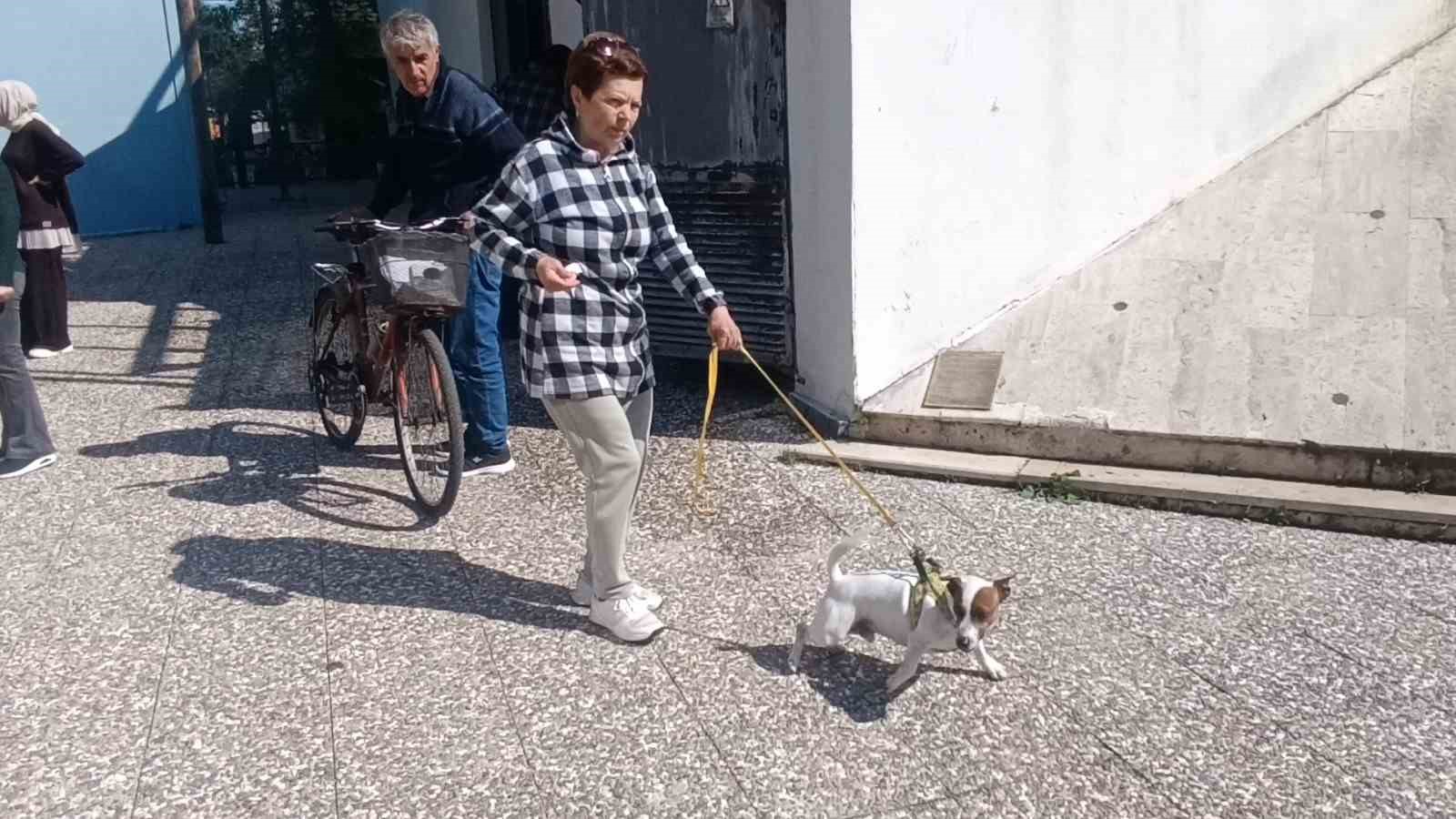 Ukraynalı kadın hayatının şokunu yaşadı, kurt köpeğiyle dalaşan kucağındaki köpeği parmağını parçaladı 9 ukraynali kadin hayatinin sokunu yasadi kurt kopegiyle dalasan kucagindaki kopegi parmagini parcaladi 5 hNaM5DRq