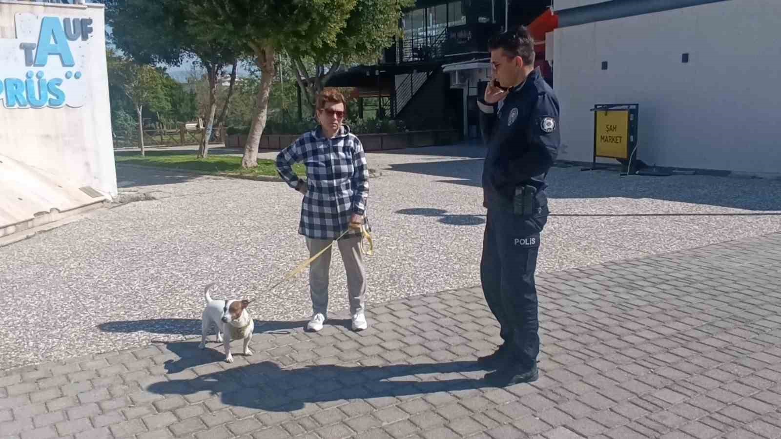 Ukraynalı kadın hayatının şokunu yaşadı, kurt köpeğiyle dalaşan kucağındaki köpeği parmağını parçaladı 11 ukraynali kadin hayatinin sokunu yasadi kurt kopegiyle dalasan kucagindaki kopegi parmagini parcaladi 7 rn2SgISU