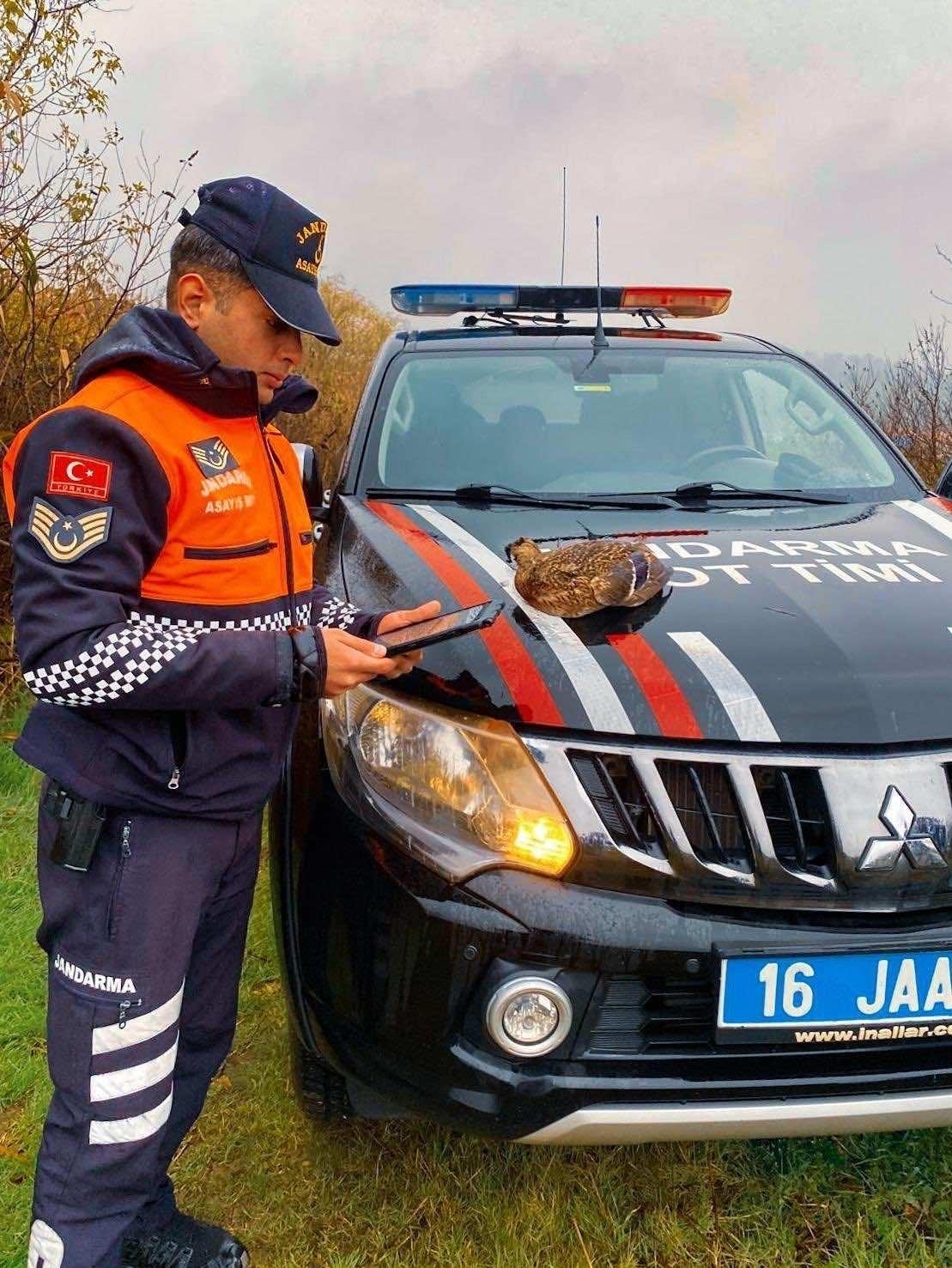 uluabat golunde usulsuz avlananlara 431 bin tl ceza 1 PWPGdImC