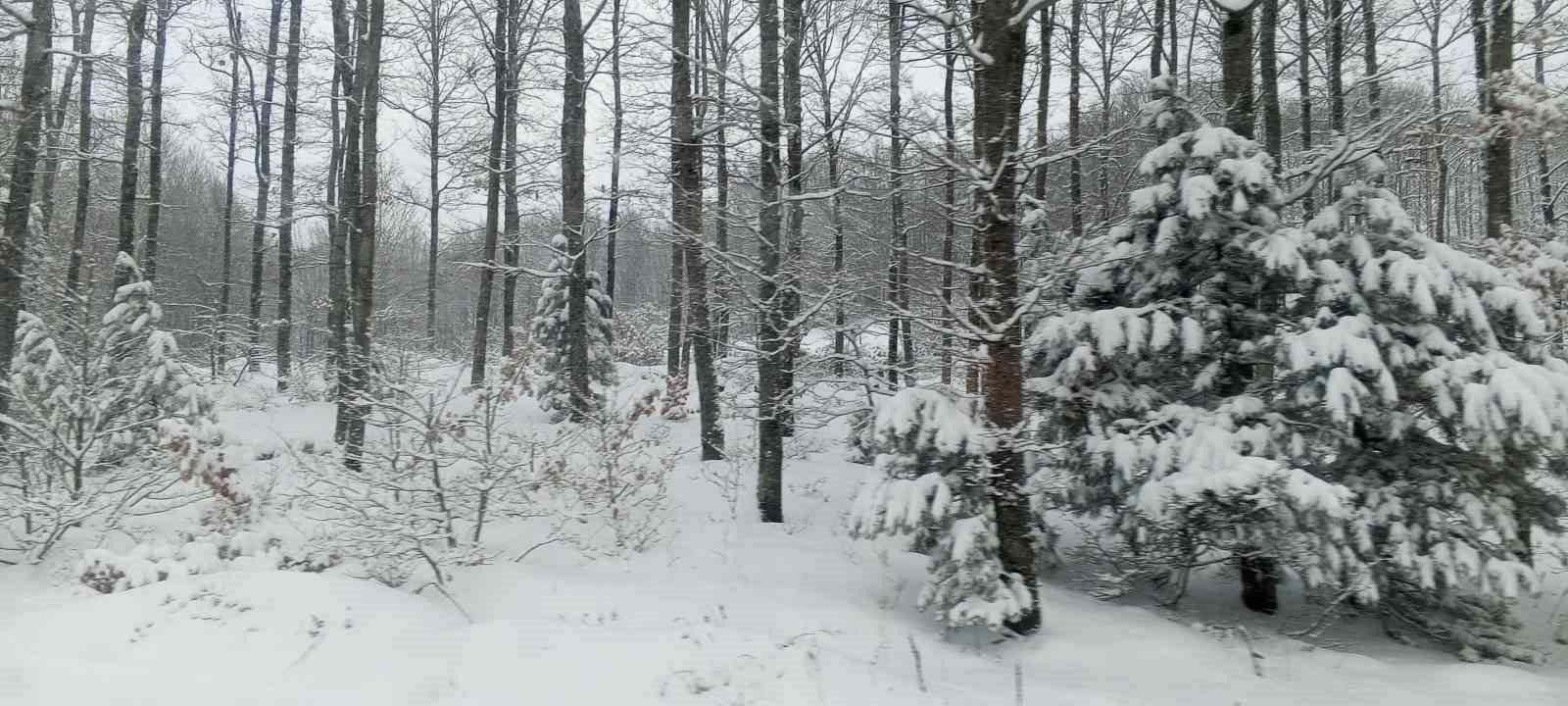 uludag kayak tutkunlarini bekliyor 2 4ZTtiriy