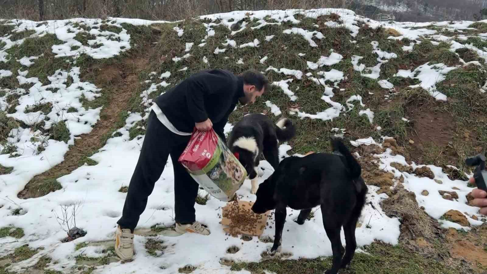 uludagda ac kalan kopeklerin imdadina hayvanseverler yetisti 0 E3vCmFwz