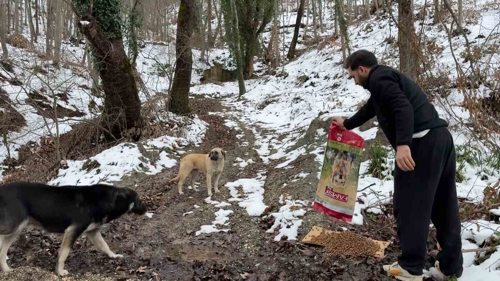 uludagda ac kalan kopeklerin imdadina hayvanseverler yetisti 3 hRlVP2Z6