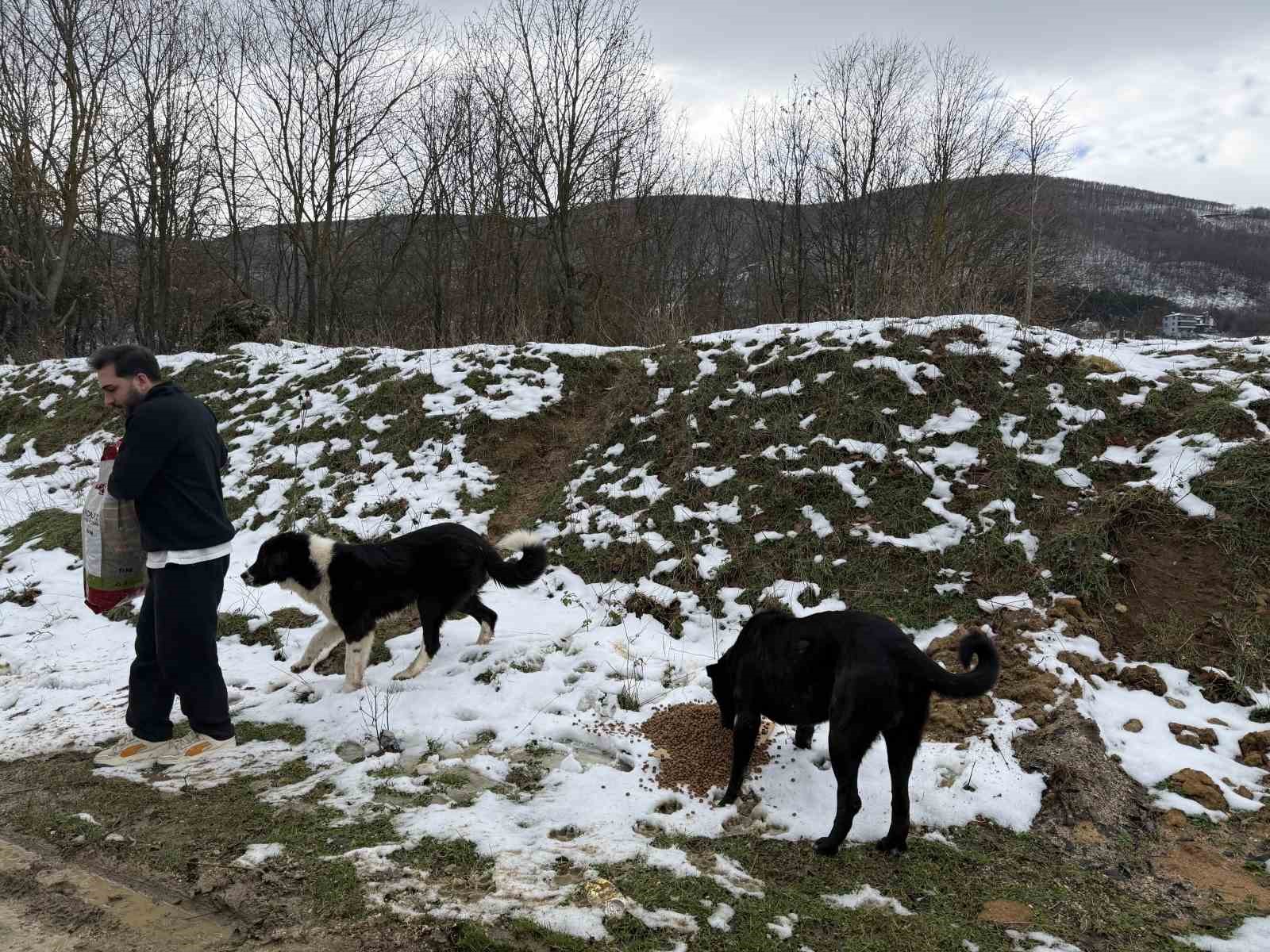 uludagda ac kalan kopeklerin imdadina hayvanseverler yetisti 4 imRWpfLw