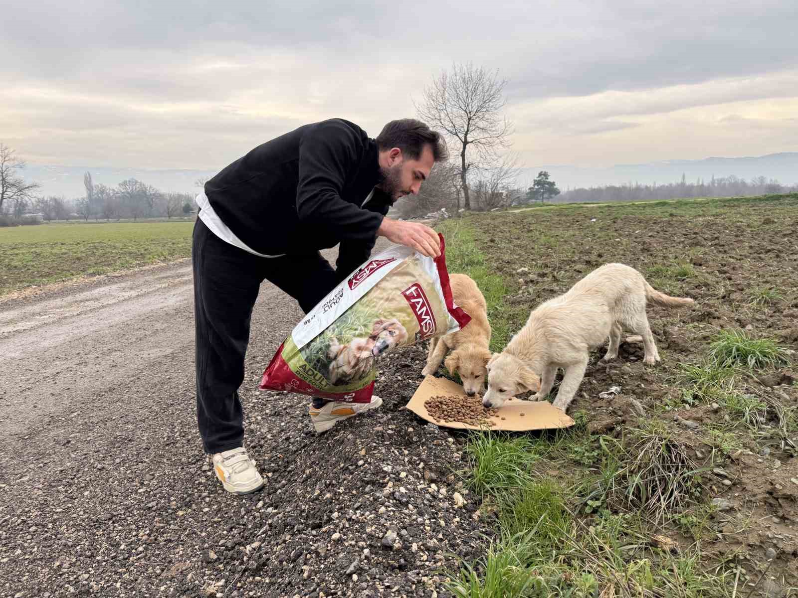 uludagda ac kalan kopeklerin imdadina hayvanseverler yetisti 5 Kaj8j8K5