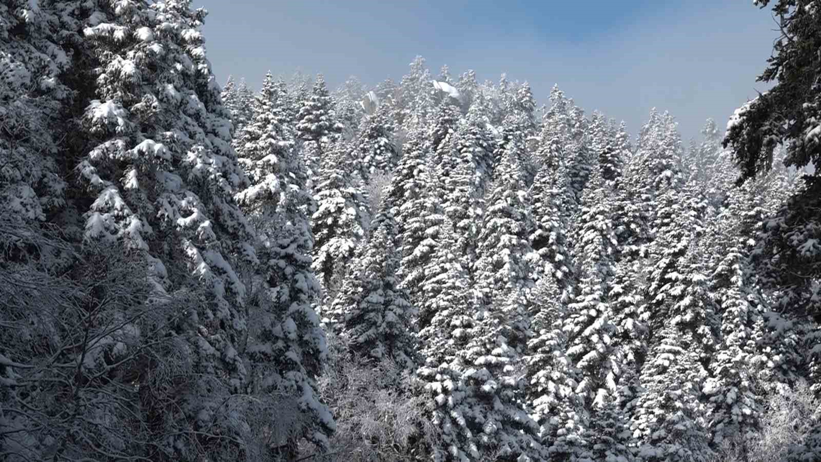 Uludağ’da göz gözü görmüyor 4 uludagda goz gozu gormuyor 0