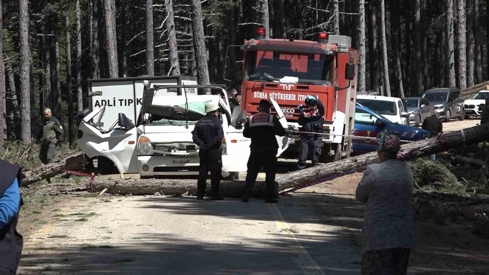 Uludağ’da inanılmaz olay...Kesilen ağaç seyir halindeki kamyonetin üzerine devrildi: 1 ölü 4 uludagda inanilmaz olaykesilen agac seyir halindeki kamyonetin uzerine devrildi 1 olu 0 NtTNSWcR