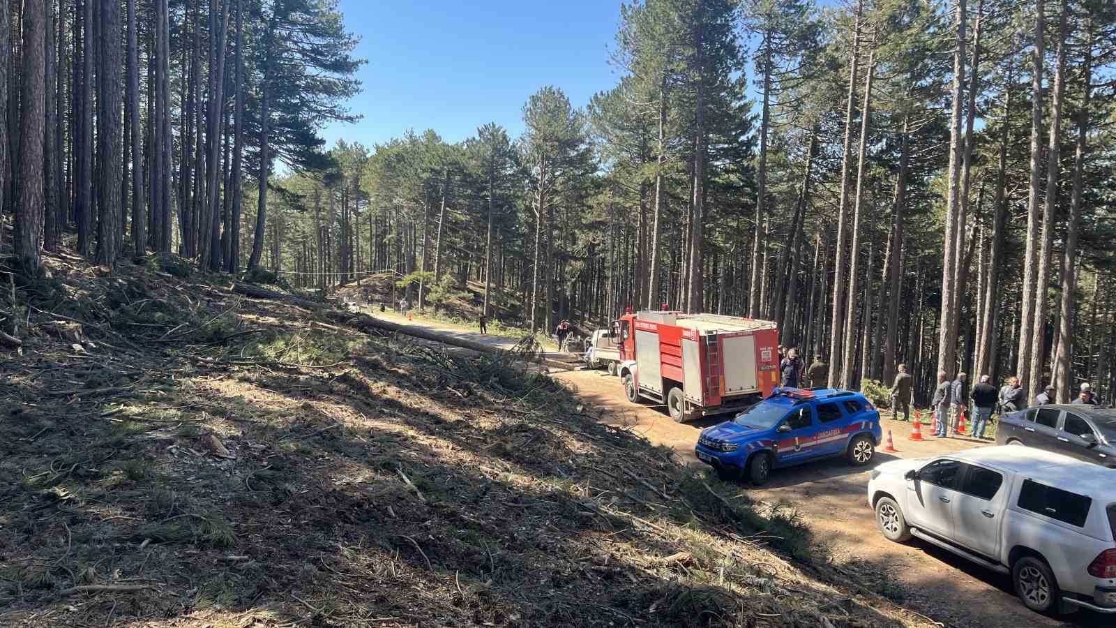 Uludağ’da inanılmaz olay...Kesilen ağaç seyir halindeki kamyonetin üzerine devrildi: 1 ölü 5 uludagda inanilmaz olaykesilen agac seyir halindeki kamyonetin uzerine devrildi 1 olu 1 2DjfZRqt