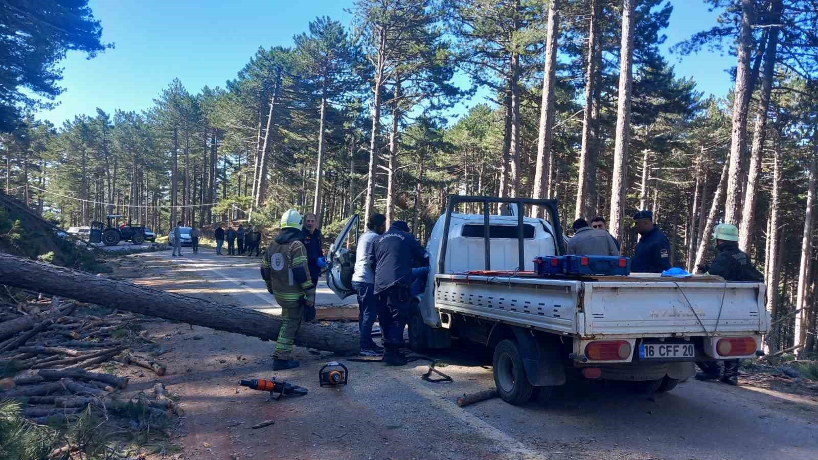 Uludağ’da inanılmaz olay...Kesilen ağaç seyir halindeki kamyonetin üzerine devrildi: 1 ölü 7 uludagda inanilmaz olaykesilen agac seyir halindeki kamyonetin uzerine devrildi 1 olu 3 pYyqrLfd
