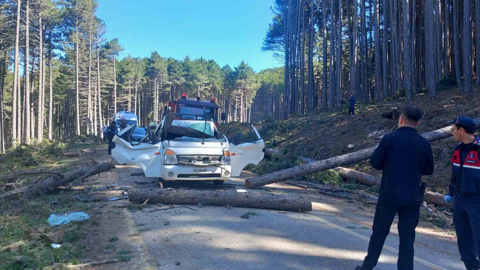 Uludağ’da inanılmaz olay...Kesilen ağaç seyir halindeki kamyonetin üzerine devrildi: 1 ölü 8 uludagda inanilmaz olaykesilen agac seyir halindeki kamyonetin uzerine devrildi 1 olu 4 7ITjU6hz
