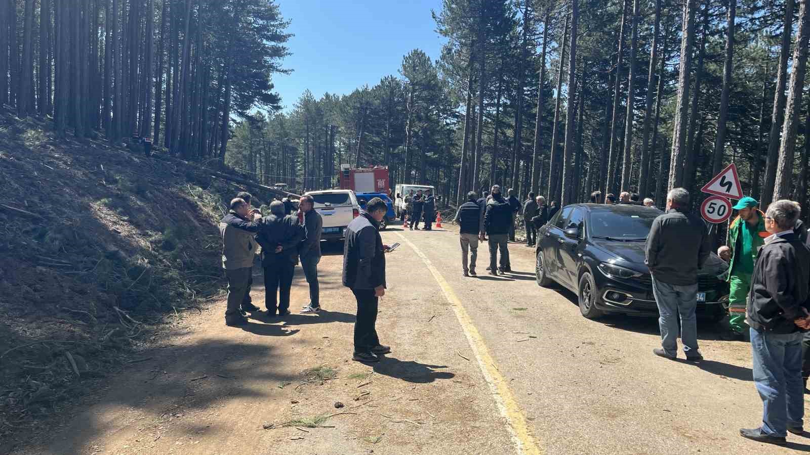 Uludağ’da inanılmaz olay...Kesilen ağaç seyir halindeki kamyonetin üzerine devrildi: 1 ölü 10 uludagda inanilmaz olaykesilen agac seyir halindeki kamyonetin uzerine devrildi 1 olu 6 NMPePEyX