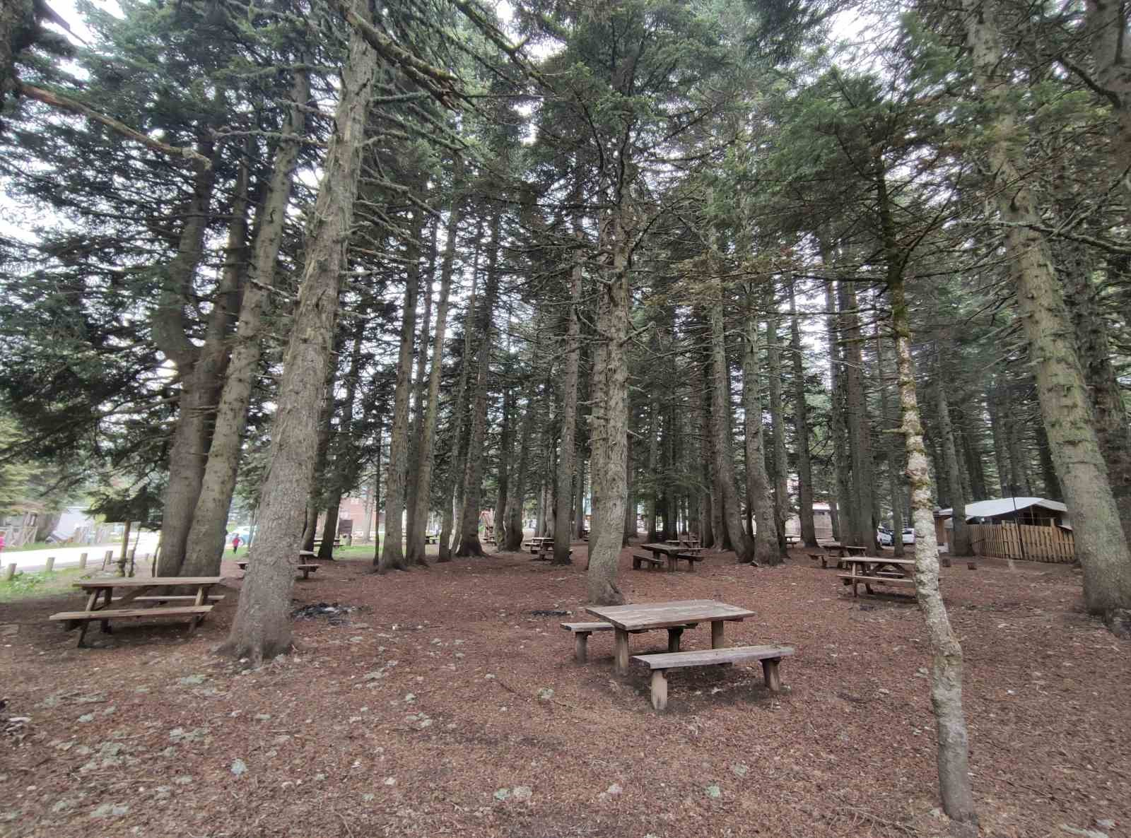 uludagda kamp sezonu aciliyor 1 c4bbGmEe