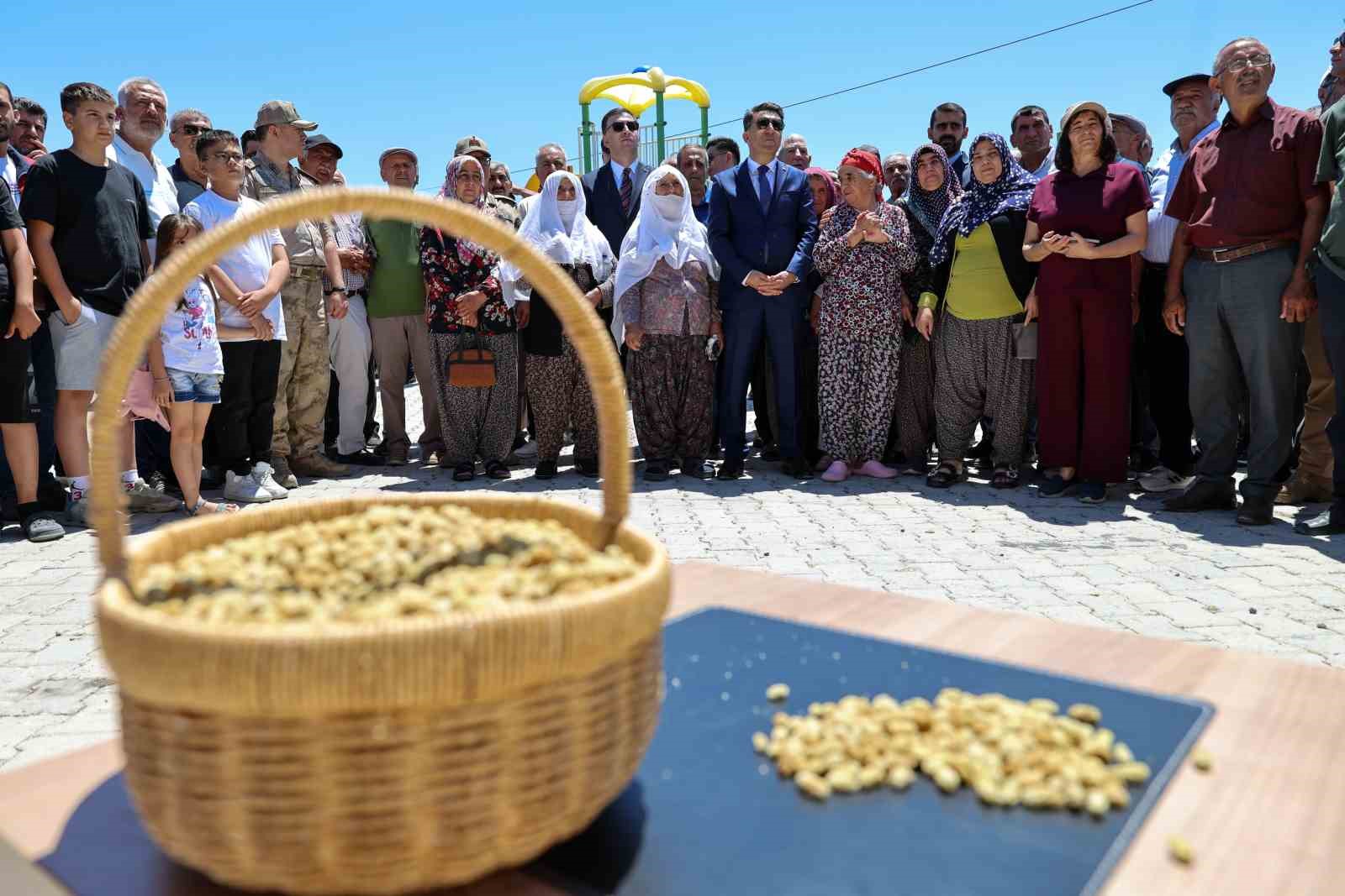 Ulukale dutunda bu yıl 650 ton rekolte beklentisi 5 ulukale dutunda bu yil 650 ton rekolte beklentisi 1 hkWGwuY5