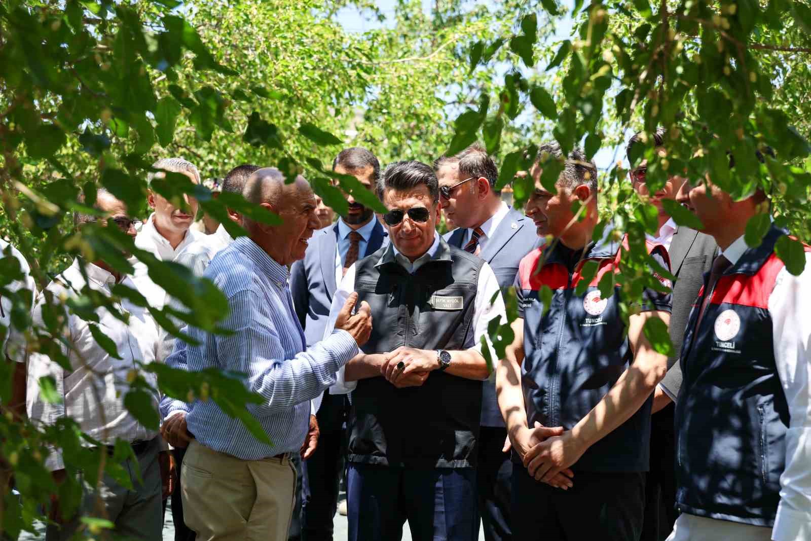 Ulukale dutunda bu yıl 650 ton rekolte beklentisi 7 ulukale dutunda bu yil 650 ton rekolte beklentisi 3 GKEdwAM8