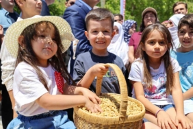 ulukale-dutunda-bu-yil-650-ton-rekolte-beklentisi-GbixBd6R.jpg