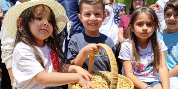 ulukale-dutunda-bu-yil-650-ton-rekolte-beklentisi-GbixBd6R.jpg