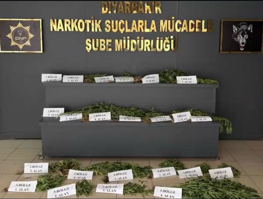 UNESCO Dünya Mirası Listesi’ndeki Hevsel Bahçeleri’nde uyuşturucu ele geçirildi 4 unesco dunya mirasi listesindeki hevsel bahcelerinde uyusturucu ele gecirildi 0 PYnRV8HR