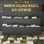 unesco-dunya-mirasi-listesindeki-hevsel-bahcelerinde-uyusturucu-ele-gecirildi-YLTPzppQ.jpg