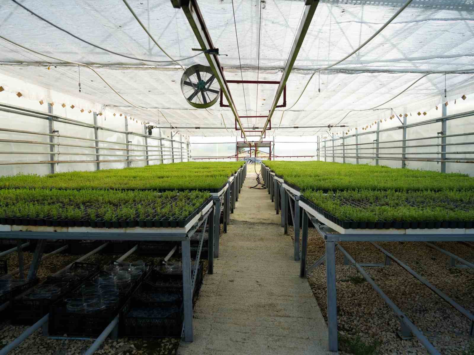 universite serasinda uretiliyor ciftcilerin geliri aromatik bitkilerle artacak 1 UhOeXrCd