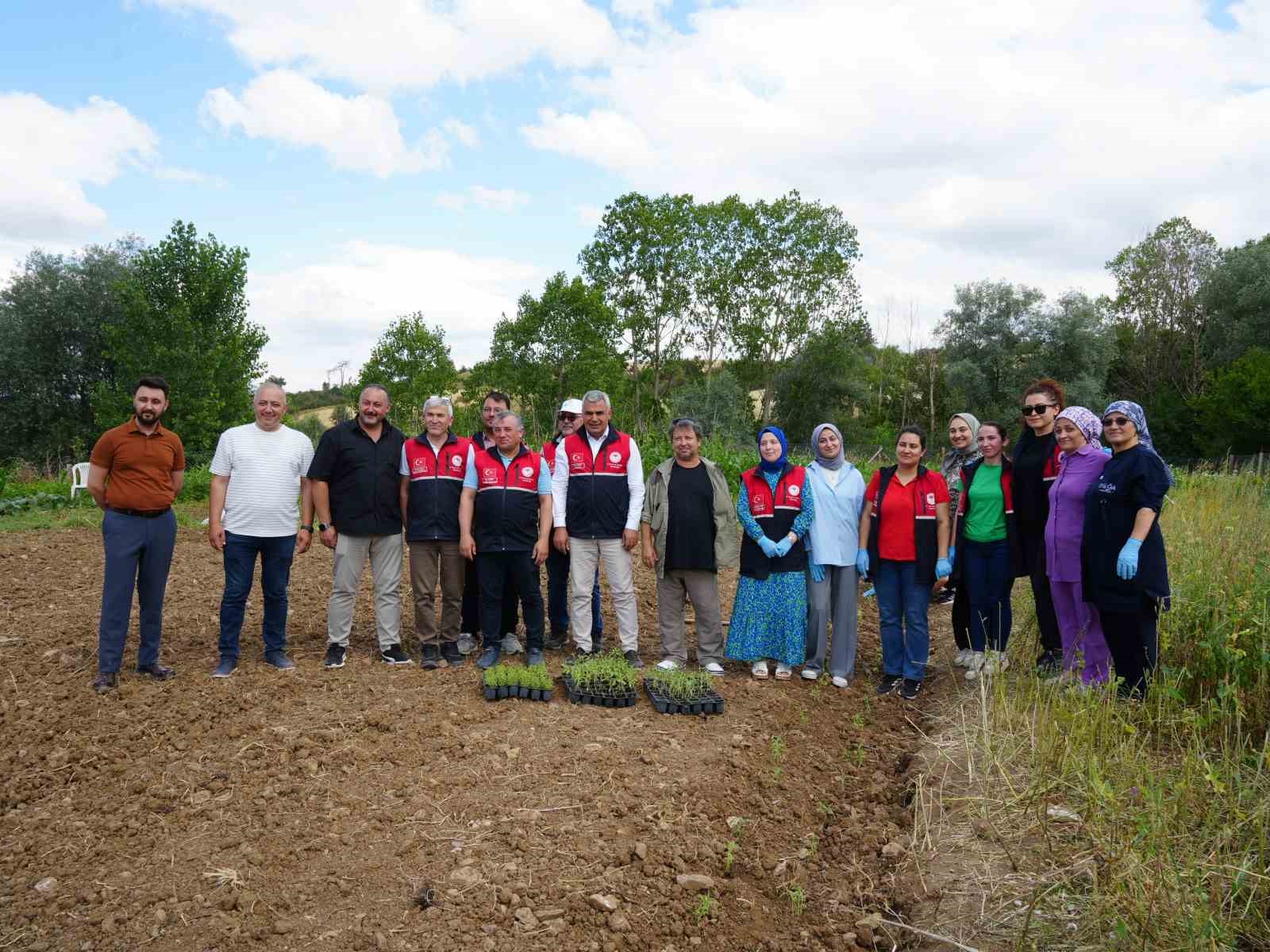 universite serasinda uretiliyor ciftcilerin geliri aromatik bitkilerle artacak 5 kek1ce71