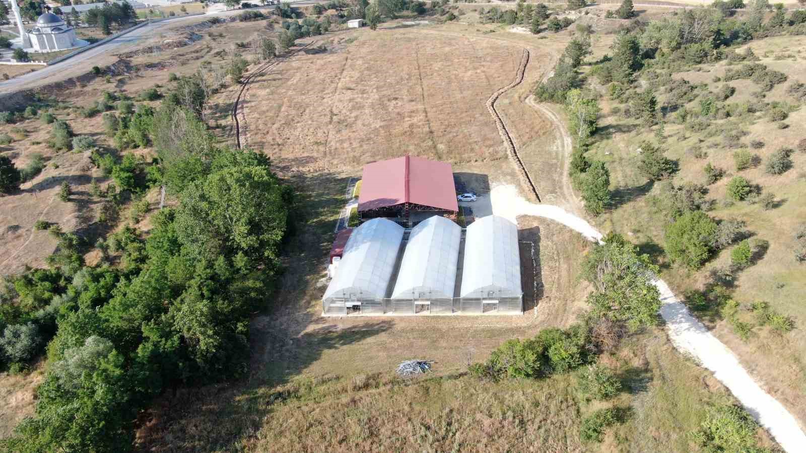 universite serasinda uretiliyor ciftcilerin geliri aromatik bitkilerle artacak 6 lSQajgQv