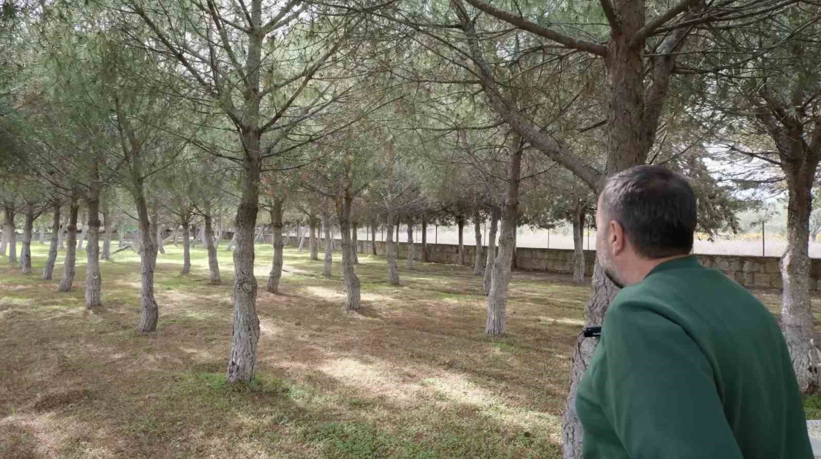 Ünlü komediyen Ata Demirer Çanakkale ve Bozcaada’ya olan aşkını anlattı 12 unlu komediyen ata demirer canakkale ve bozcaadaya olan askini anlatti 8 dCvp7mYD