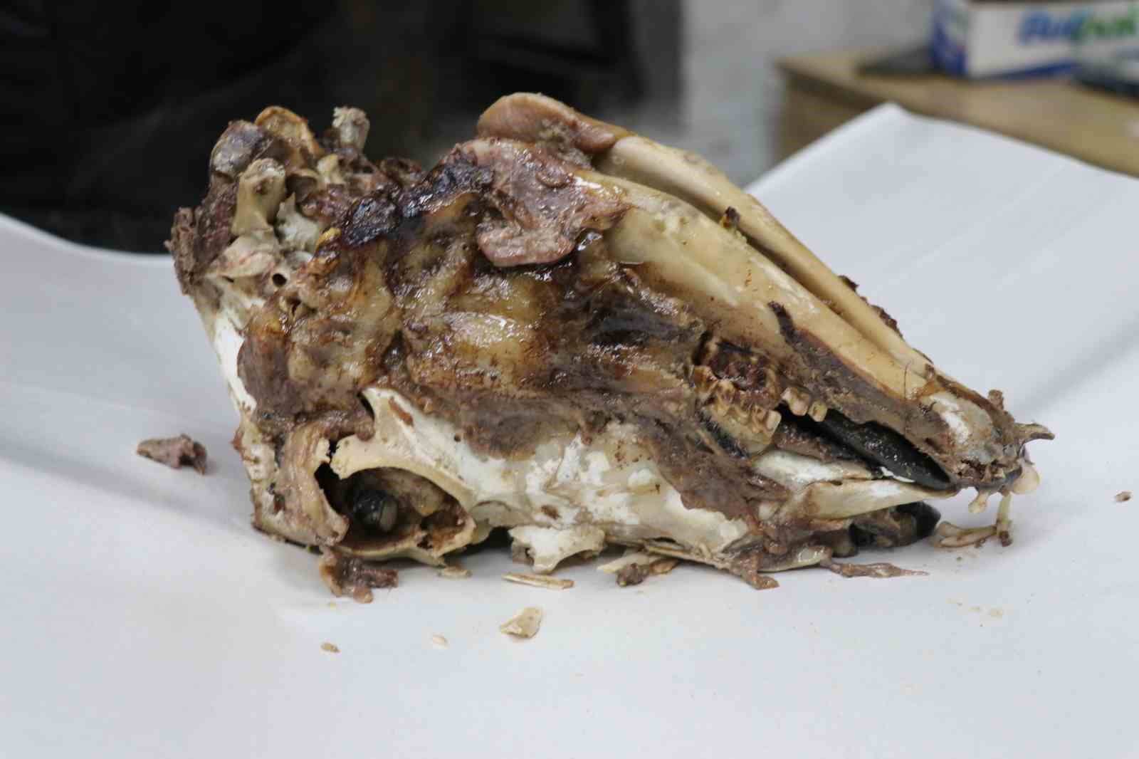 urkutucu goruntusune ragmen afiyetle tuketiliyor 2