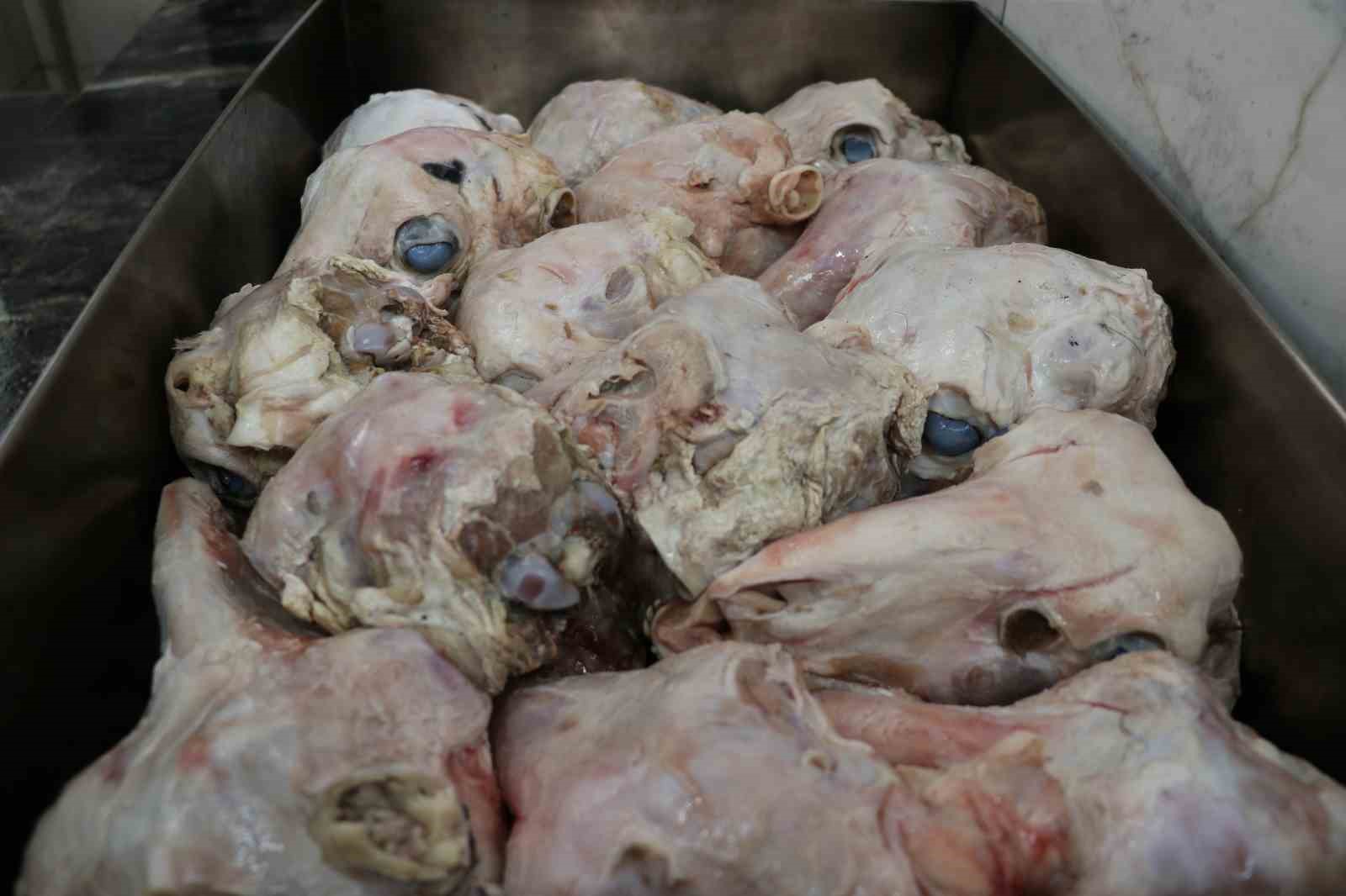 urkutucu goruntusune ragmen afiyetle tuketiliyor 5