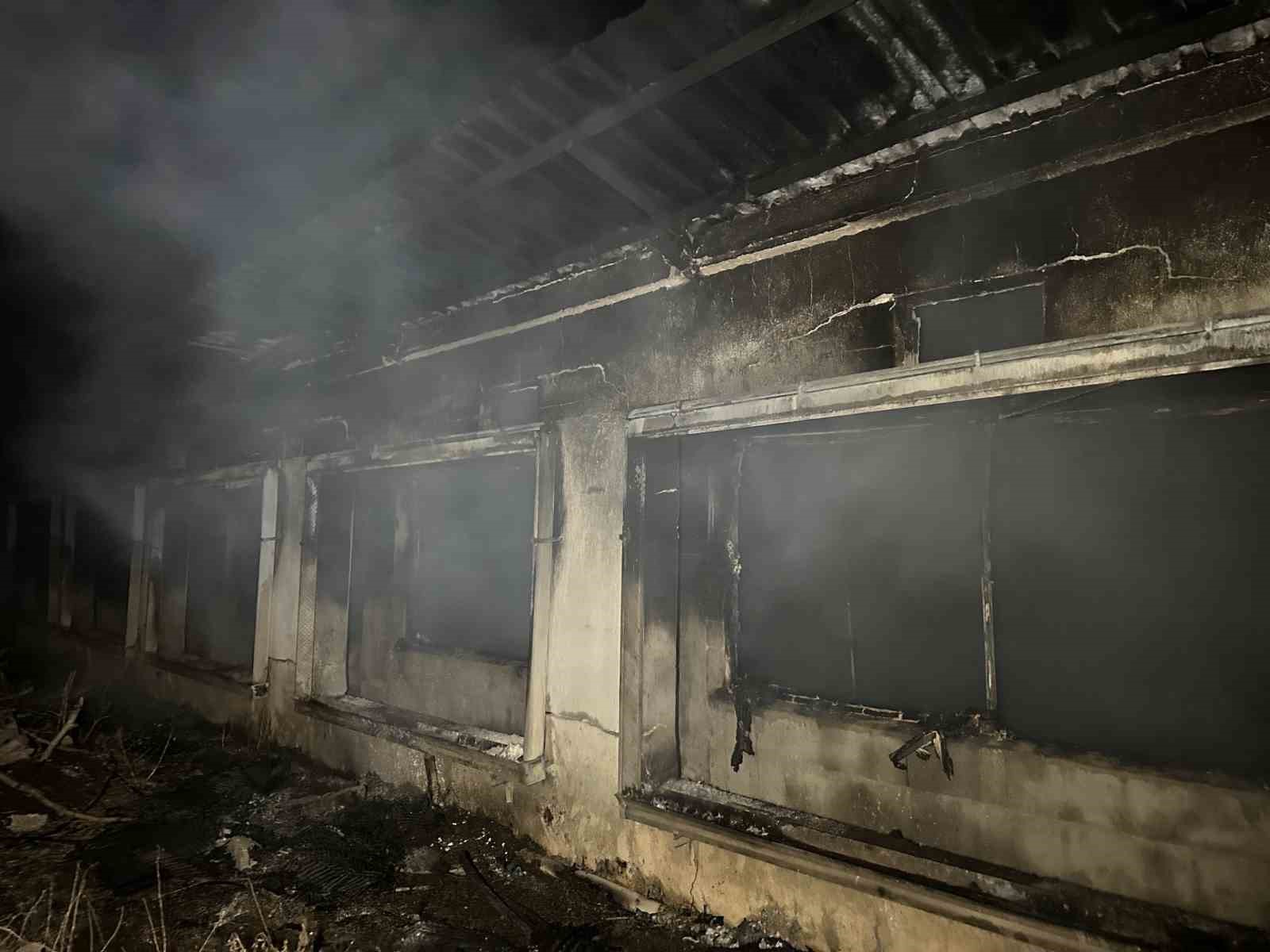 usakta bos tavuk ciftliginde cikan yangin korkuttu 3 SEu3UY4M
