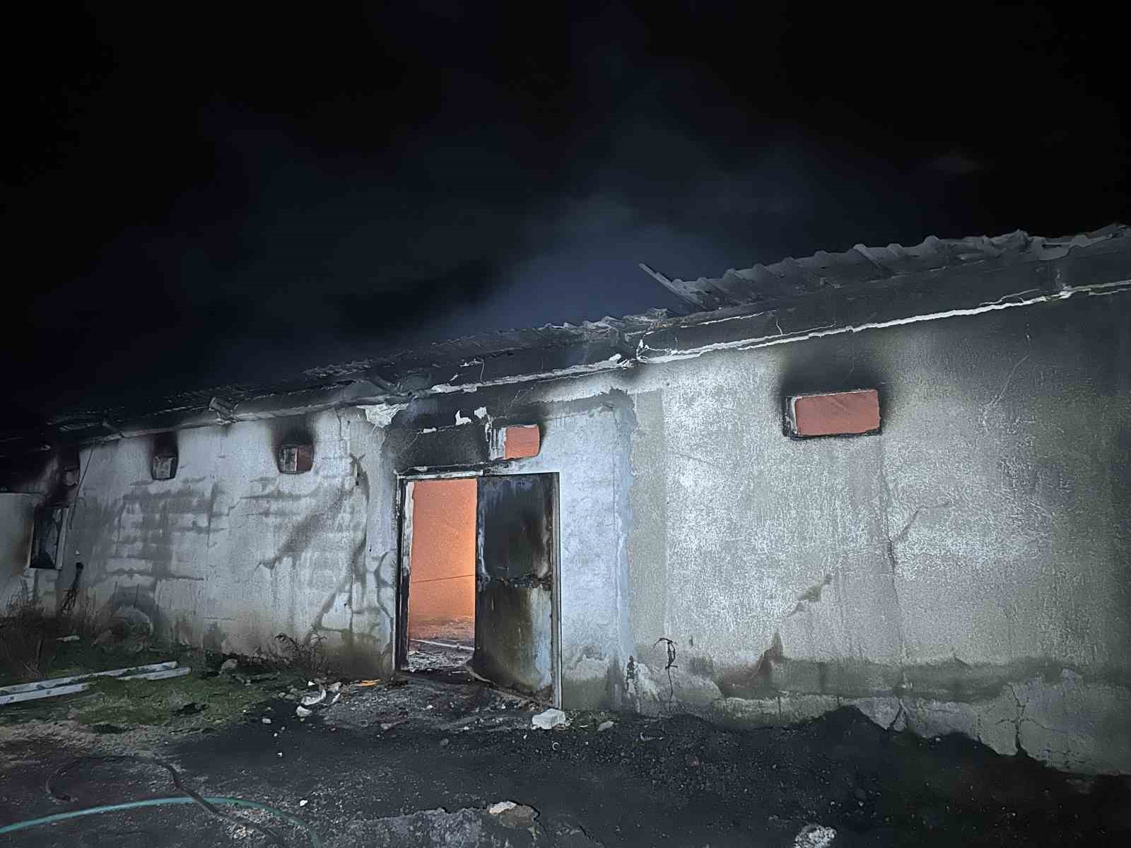usakta bos tavuk ciftliginde cikan yangin korkuttu 6 Dbq24lBy