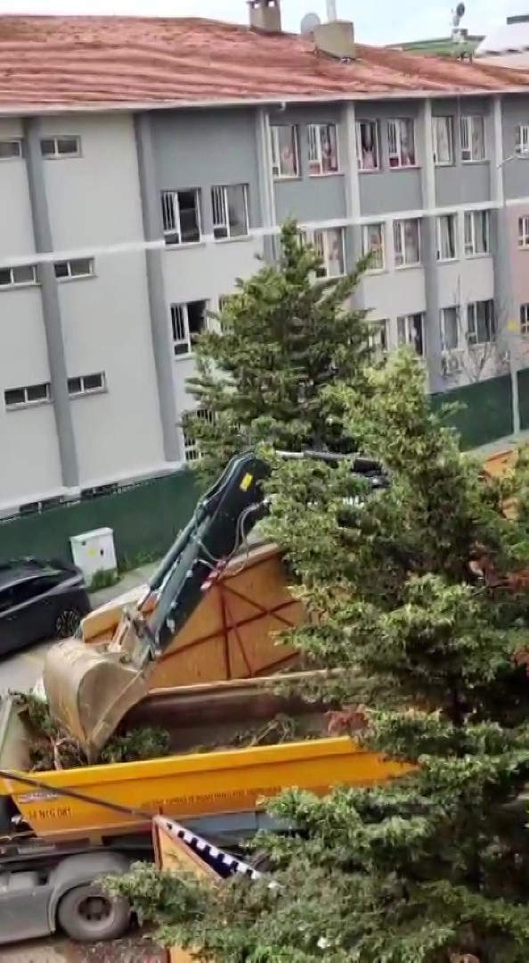 Üsküdar Belediyesi’nin ruhsat verdiği inşaat alanında ağaçlar kesildi 5 uskudar belediyesinin ruhsat verdigi insaat alaninda agaclar kesildi 1